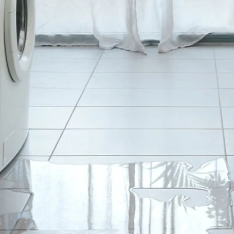 Appliance Leak Cleanup in Union Hill-Novelty Hill, WA